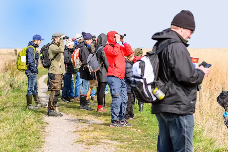 Guided Bird Watching Group